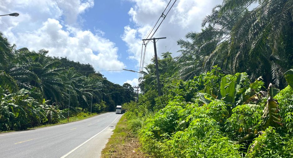 For sale land in Takua Thung, Phang Nga