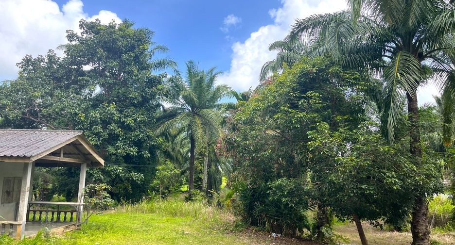 For sale land in Takua Thung, Phang Nga