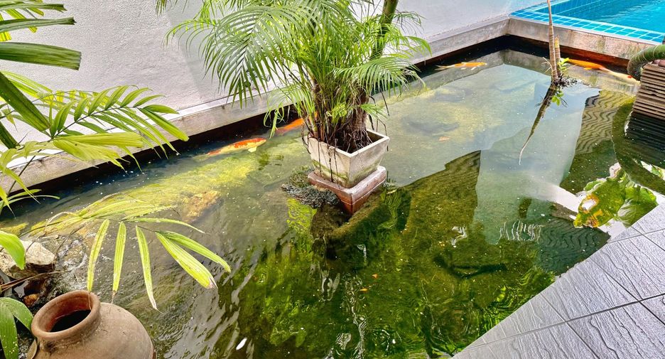 出售 12 卧室 商业空间 在 Khlong Toei, 曼谷