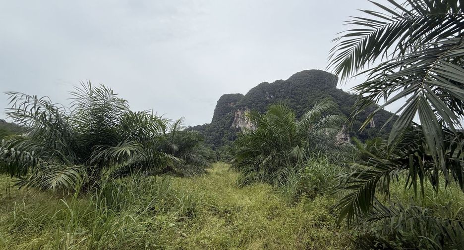ขาย ที่ดิน ใน เมืองกระบี่, กระบี่