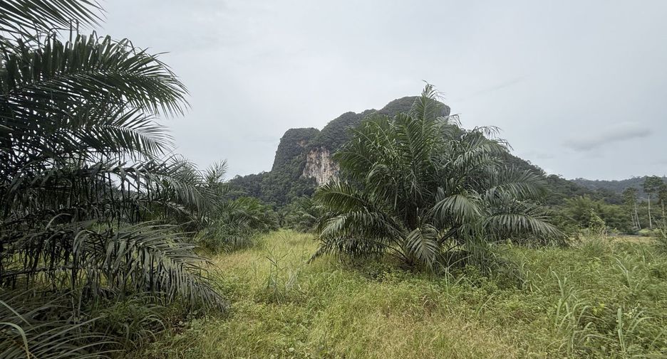 ขาย ที่ดิน ใน เมืองกระบี่, กระบี่