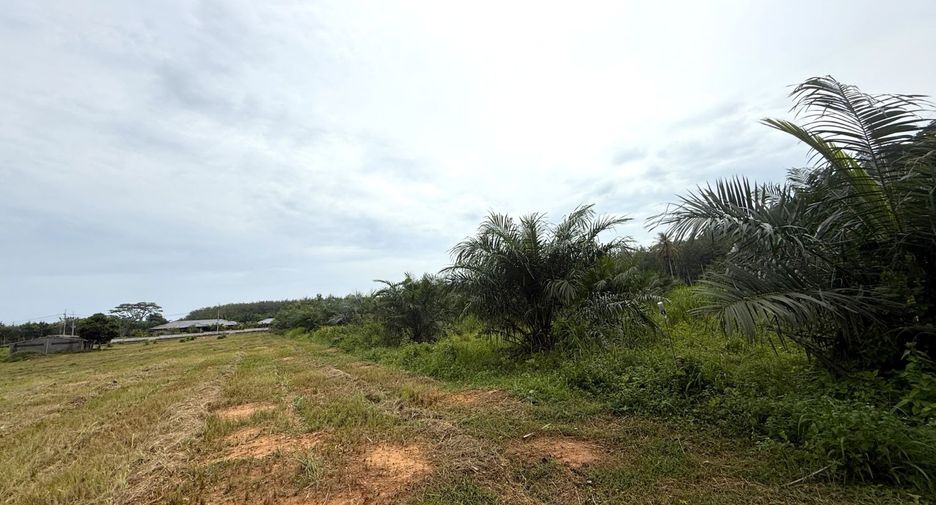ขาย ที่ดิน ใน เมืองกระบี่, กระบี่