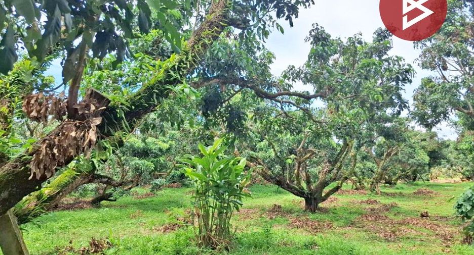 Terreno en venta en Thoeng, Chiang Rai