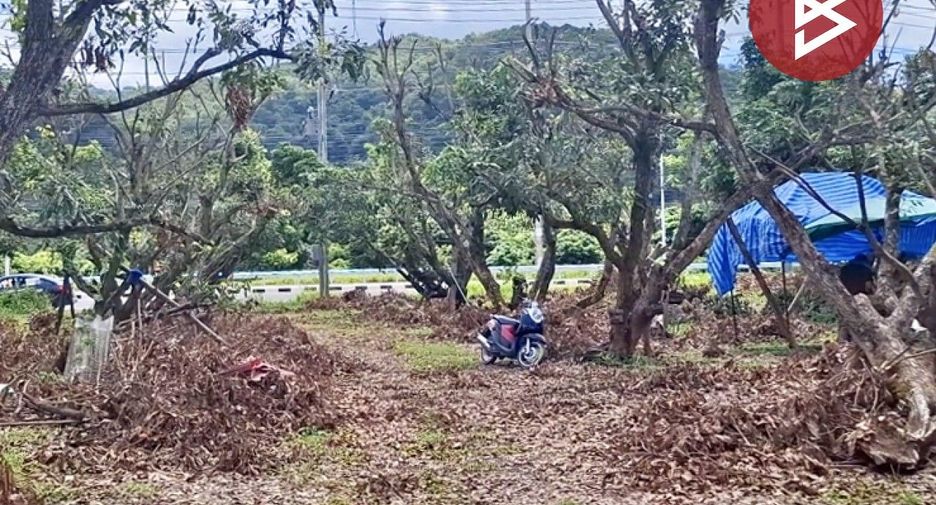 Terreno en venta en Thoeng, Chiang Rai