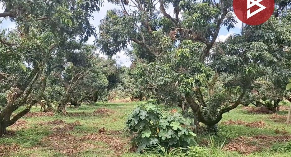 Terreno en venta en Thoeng, Chiang Rai
