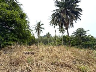 ขาย ที่ดิน ใน เมืองกระบี่, กระบี่