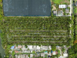 Продажа Участок в Krathum Baen, Самутсакхон
