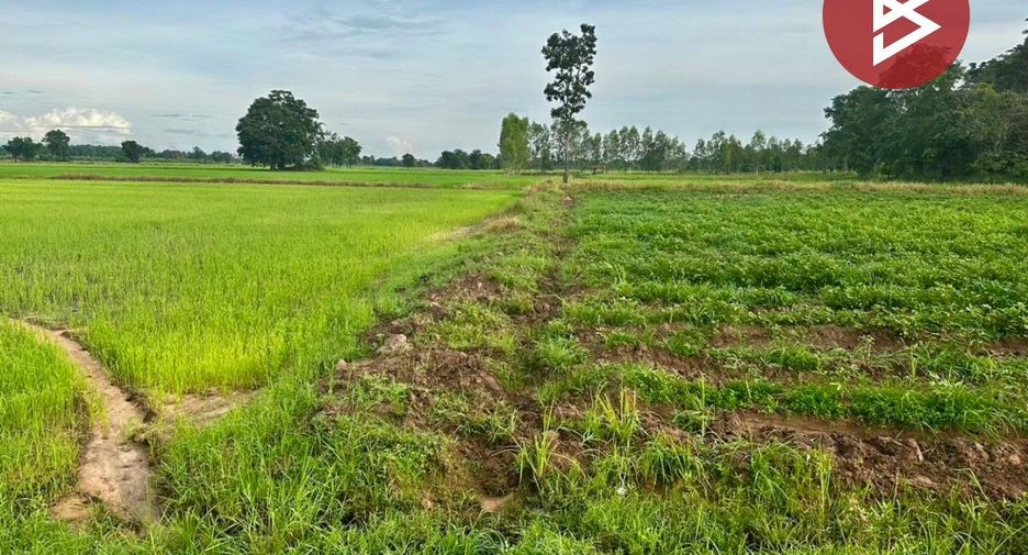 For sale land in Khanu Woralaksaburi, Kamphaeng Phet
