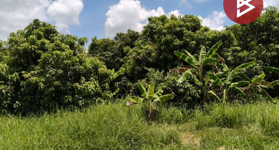 For sale land in Huai Mek, Kalasin