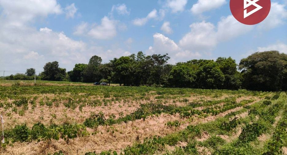 For sale land in Mueang Kalasin, Kalasin