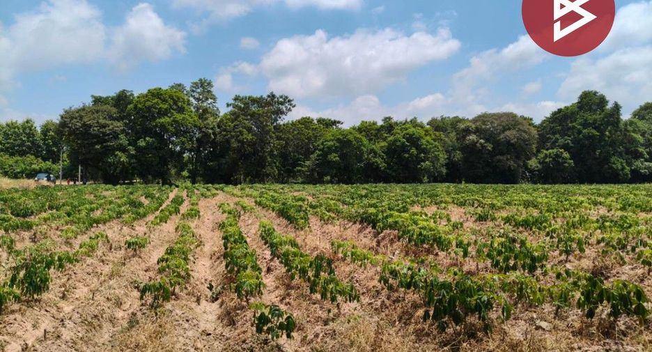 For sale land in Mueang Kalasin, Kalasin