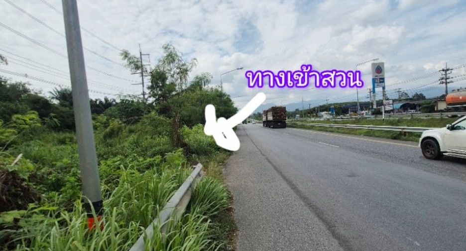 For sale land in Wiang Sa, Surat Thani