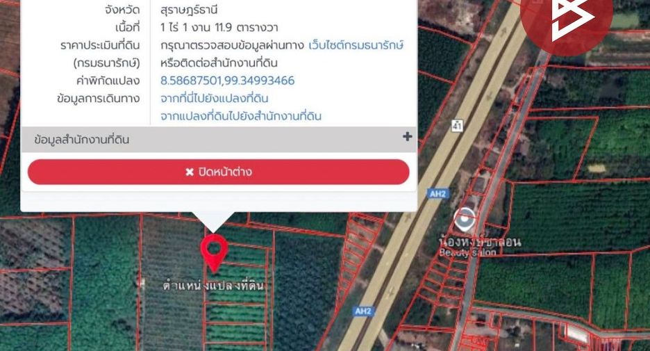 For sale land in Wiang Sa, Surat Thani