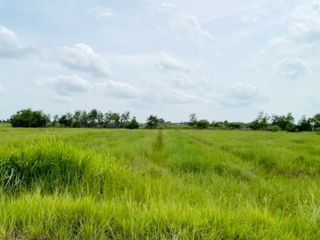 For sale land in Ongkharak, Nakhon Nayok