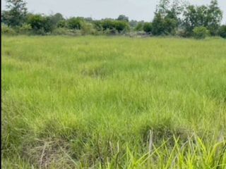 For sale land in Ongkharak, Nakhon Nayok