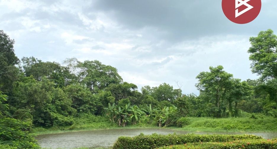 For sale land in Ban Na, Nakhon Nayok