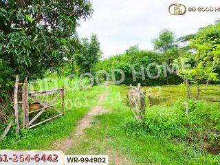 For sale land in Mueang Nong Khai, Nong Khai
