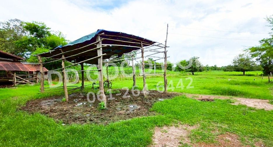 For sale land in Mueang Nong Khai, Nong Khai