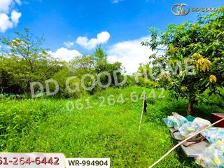 For sale land in Mueang Nong Khai, Nong Khai
