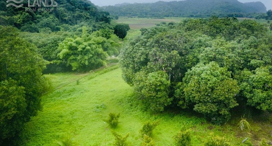 出售 土地 在 Sai Yok, Kanchanaburi