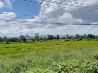 ขาย ที่ดิน ใน เมืองตาก, ตาก