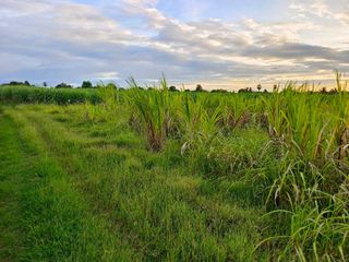 出售 土地 在 Tha Muang, Kanchanaburi