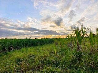 出售 土地 在 Tha Muang, Kanchanaburi