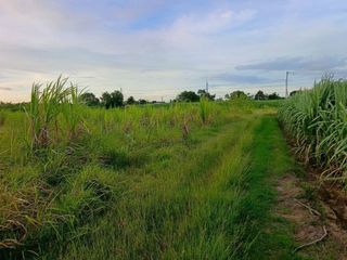 出售 土地 在 Tha Muang, Kanchanaburi