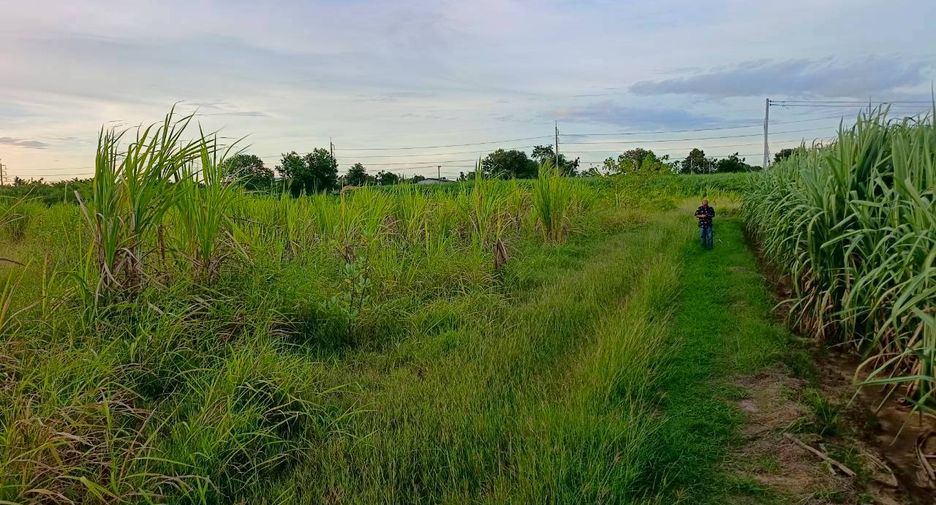 ขาย ที่ดิน ใน ท่าม่วง, กาญจนบุรี