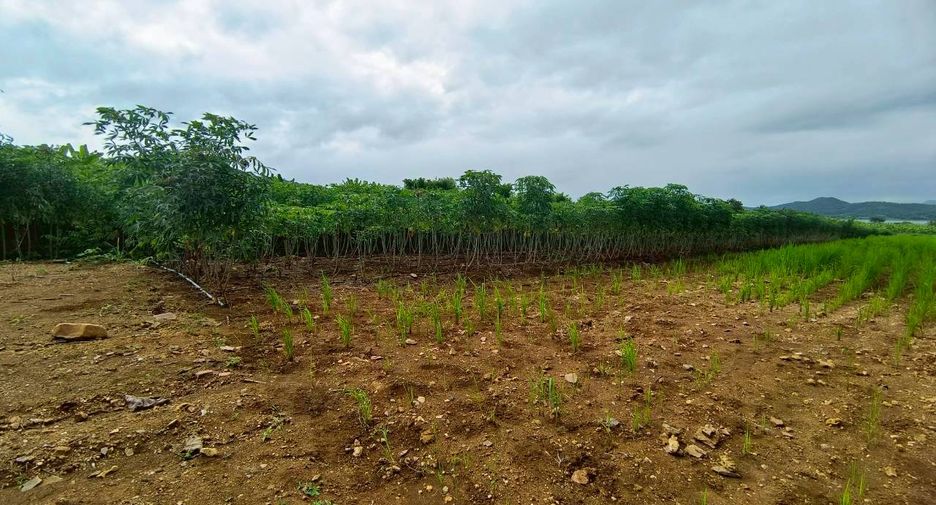 For sale land in Si Sawat, Kanchanaburi