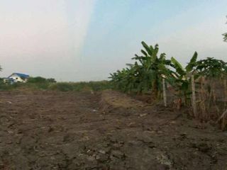 ขาย ที่ดิน ใน บางบัวทอง, นนทบุรี