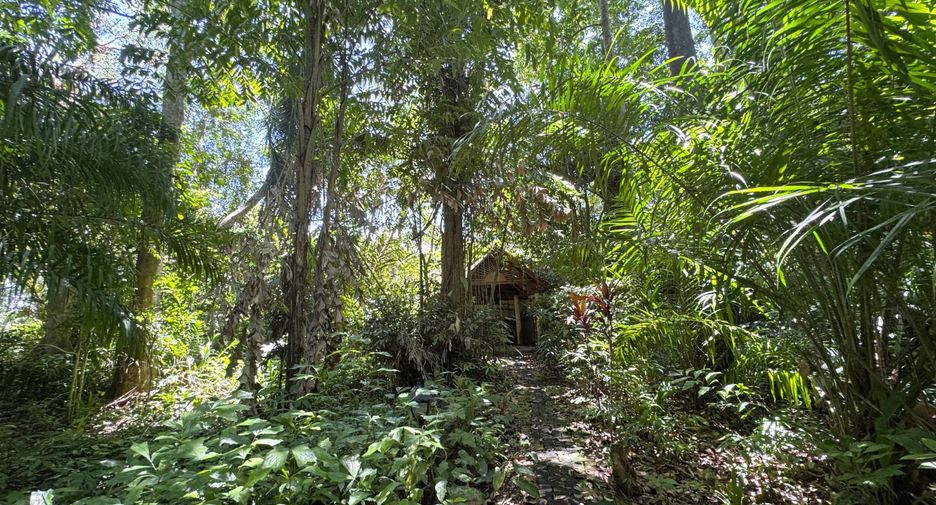 Grundstück zum Kauf in Mueang Krabi, Krabi