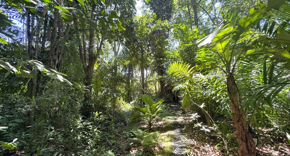 Grundstück zum Kauf in Mueang Krabi, Krabi