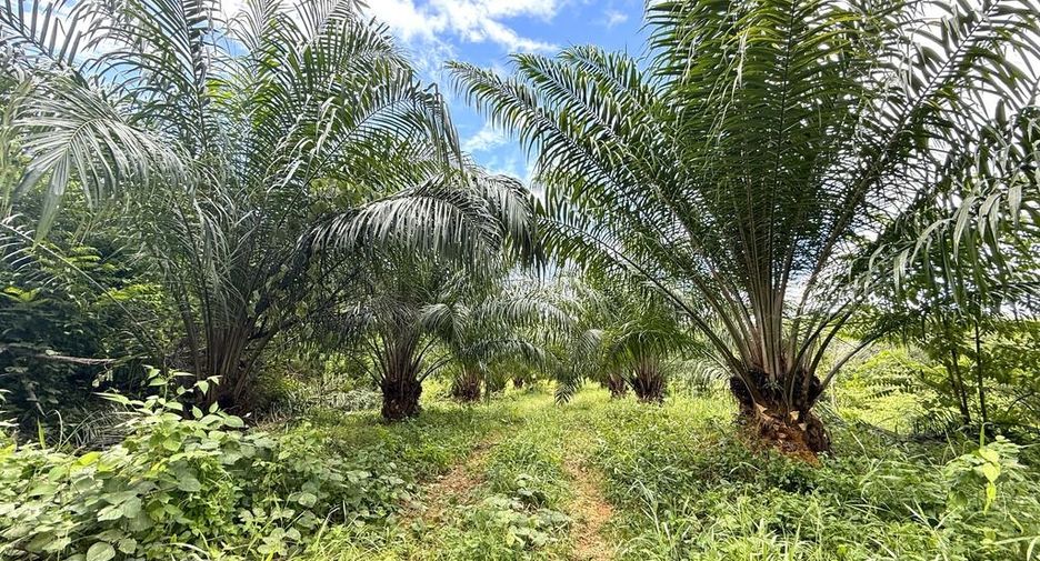 For sale land in Mueang Krabi, Krabi