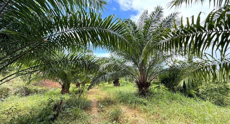For sale land in Mueang Krabi, Krabi