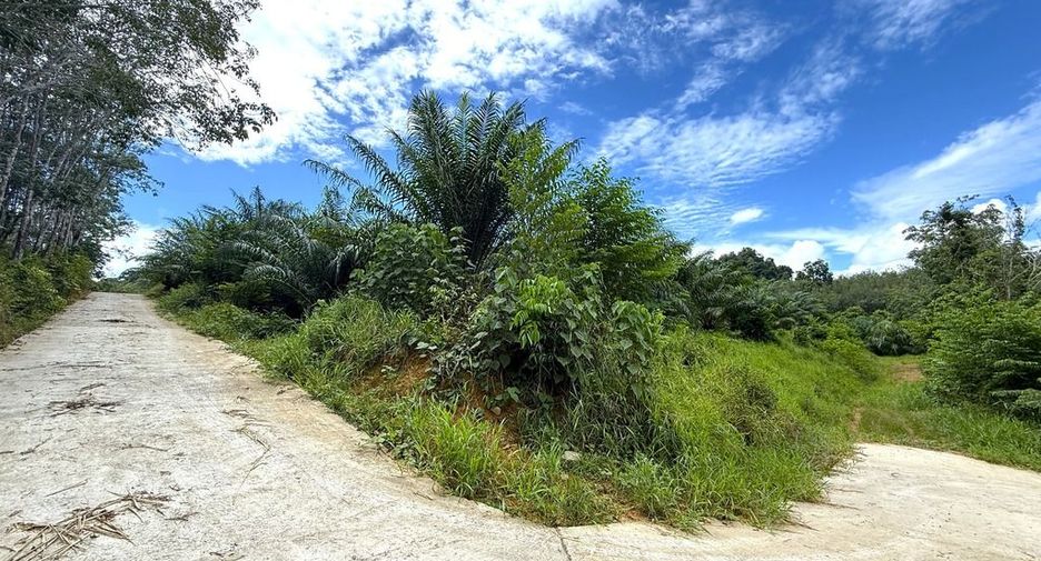 For sale land in Mueang Krabi, Krabi