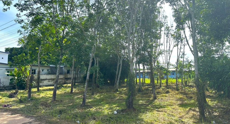 Grundstück zum Kauf in Mueang Krabi, Krabi