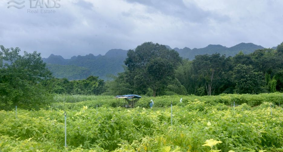 出售 土地 在 Sai Yok, Kanchanaburi