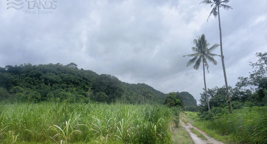 出售 土地 在 Sai Yok, Kanchanaburi