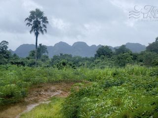 Grundstück zum Kauf in Sai Yok, Kanchanaburi