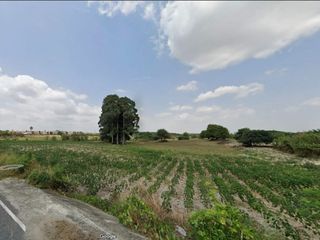 ขาย ที่ดิน ใน นิคมพัฒนา, ระยอง