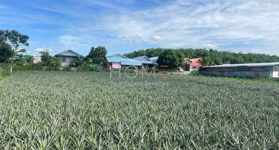 Продажа Участок в Pluak Daeng, Районг