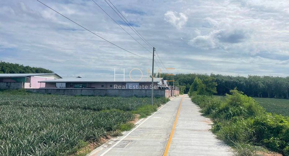 Продажа Участок в Pluak Daeng, Районг