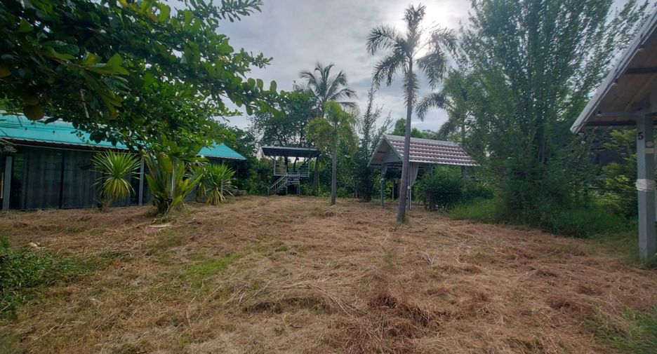 For sale land in Na Klang, Nong Bua Lamphu