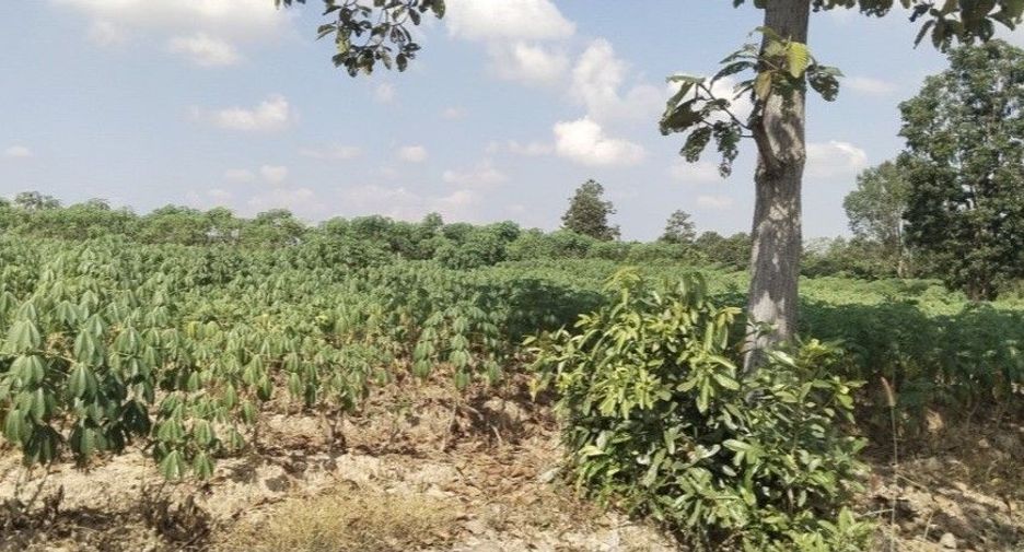 For sale land in Mae Tha, Lampang