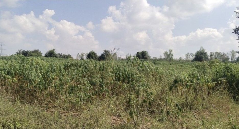 For sale land in Mae Tha, Lampang