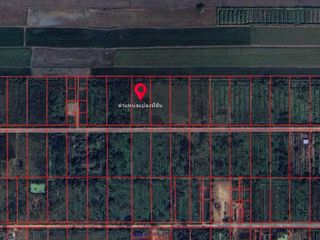 For sale land in Nong Suea, Pathum Thani