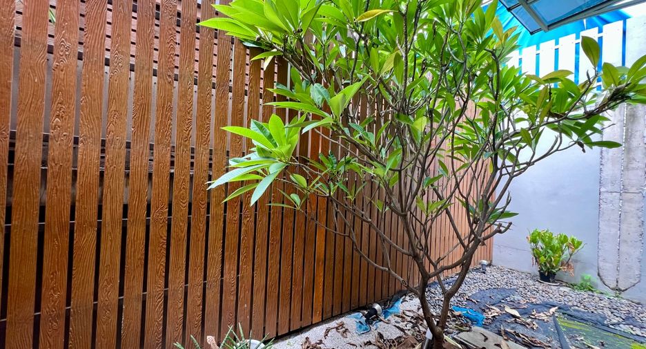 For rent 3 bedrooms townhouse in Suan Luang, Bangkok