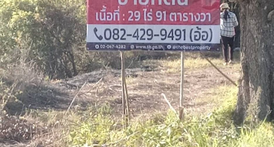 ขาย ที่ดิน ใน ตะพานหิน, พิจิตร