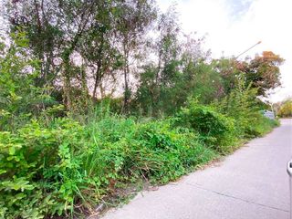 ขาย ที่ดิน ใน บ้านฉาง, ระยอง